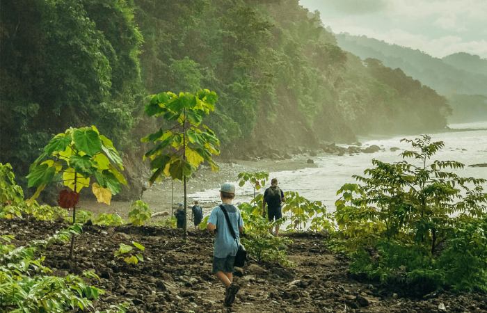 Corcovado National Park