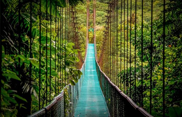 Monteverde Cloud Forest Reserve Costa Rica