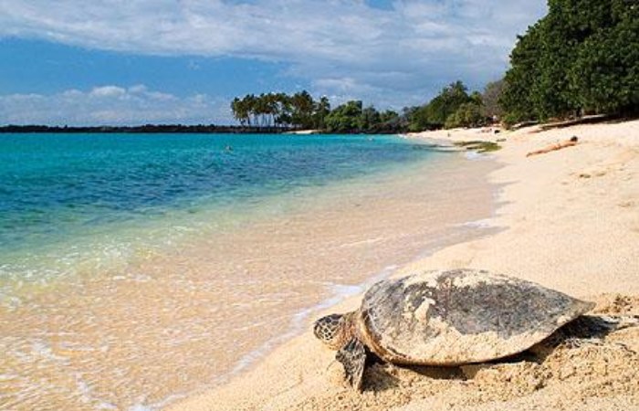 Turtle National Park