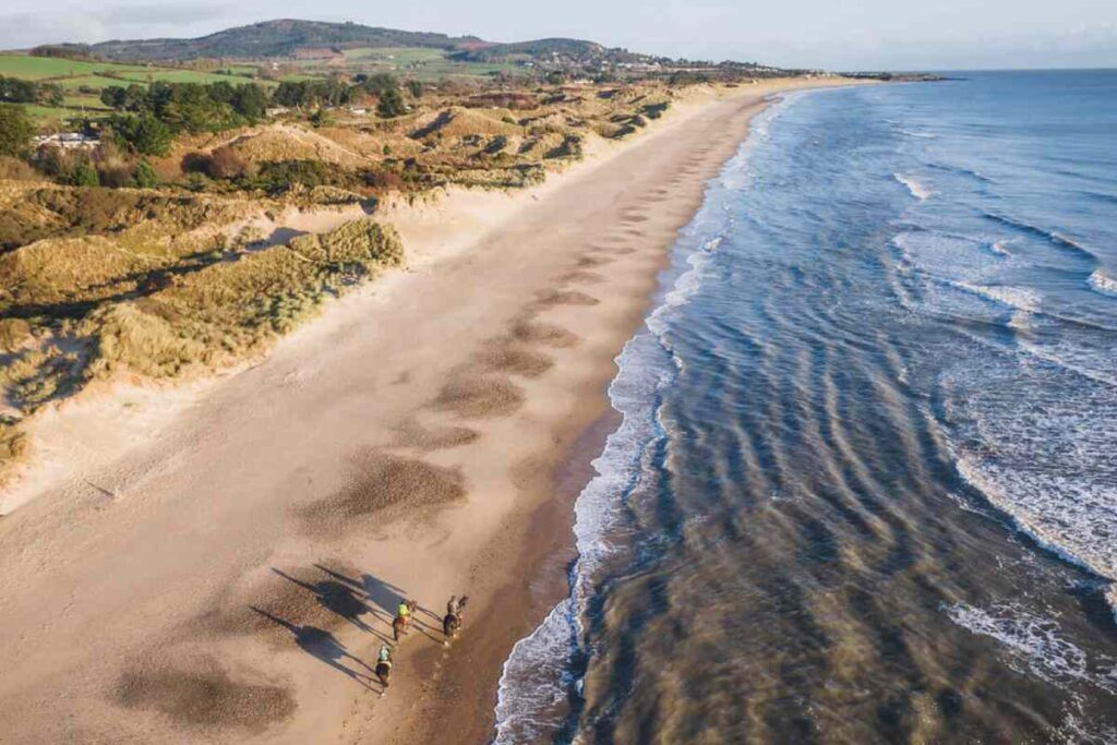 beaches in Wicklow